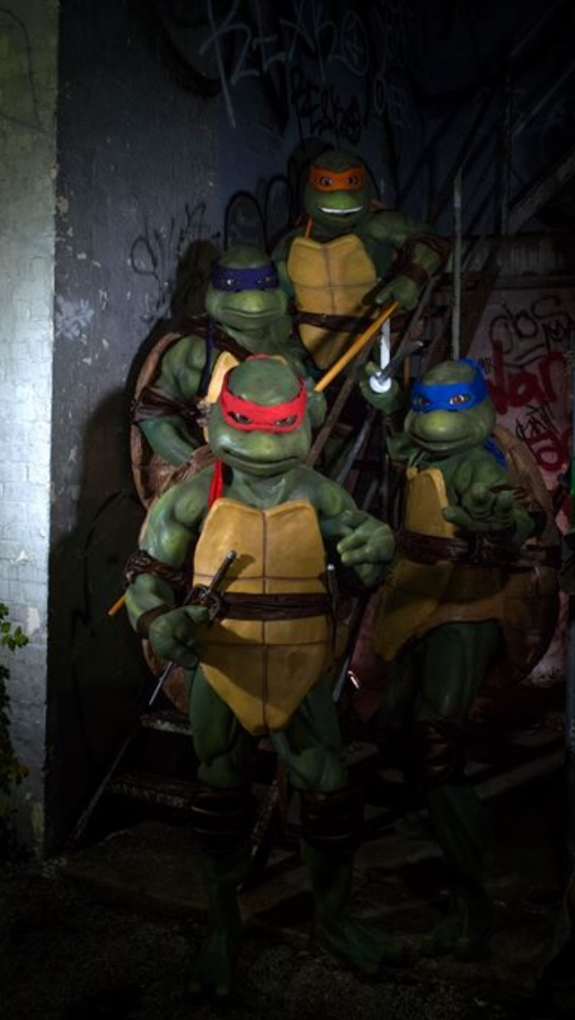 Ten Inch Mutant Ninja Turtles Cast